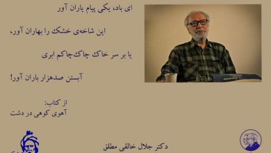 تصویر از ♦️از کتاب: #آهوی_کوهی_در_دشت