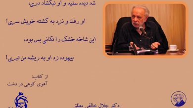 تصویر از ♦️از کتاب: #آهوی_کوهی_در_دشت