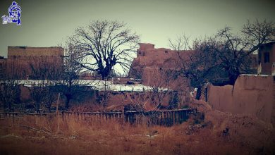 تصویر از از زادگاه تا آرامگاه