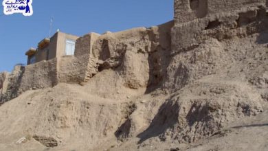 تصویر از از زادگاه تا آرامگاه
