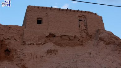 تصویر از از زادگاه تا آرامگاه