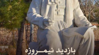 تصویر از بازدیدنیمروزه و معرفی آرامگاه فردوسی