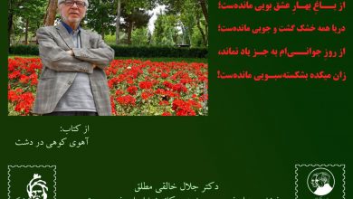 تصویر از از باغِ بهارِ عشق بويي ماندهست