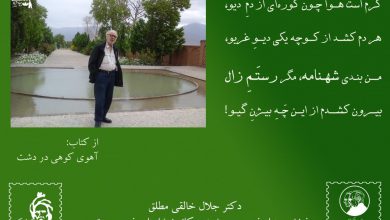 تصویر از بيرون كشدم از اين چَهِ بيژنِ گيو!