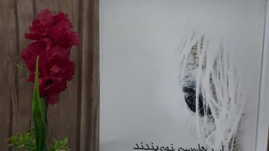 تصویر از کتاب اسب ها روسری نمی بندد