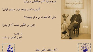 تصویر از از کتاب: #آهوی_کوهی_در_دشت