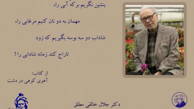 تصویر از #آهوی_کوهی_در_دشت