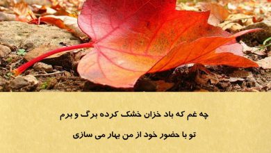 تصویر از چه غم که باد خزان خشک کرده برگ و برم