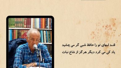 تصویر از قند لبهای تو را حافظ شبی گر می چشید