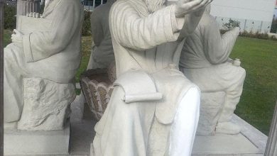 تصویر از به بهانه ی روز داروسازی