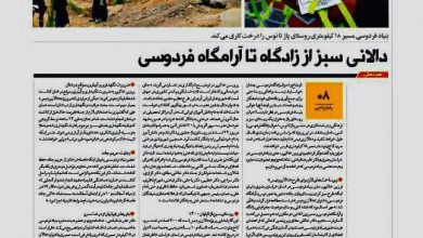 تصویر از ◻️دالانی سبز از زادگاه تا آرامگاه فردوسی
